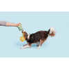 BARK dog toys Funflower Seeds Daisy Plush Rope Dog Toy