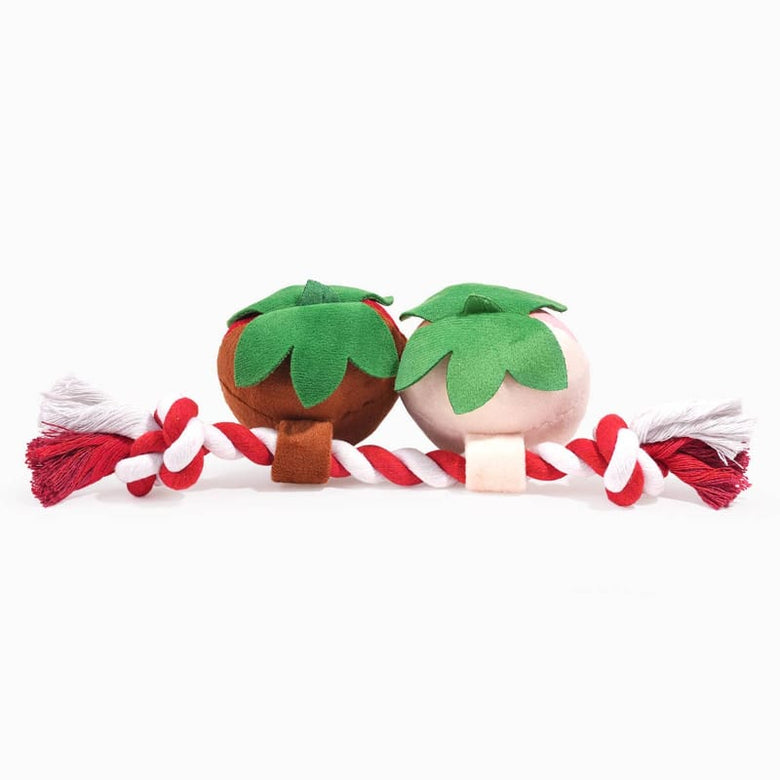 Hugsmart Products Inc Dog Toys Woof Love Sweet ChocoBerries Plush Squeak Rope Dog Toy