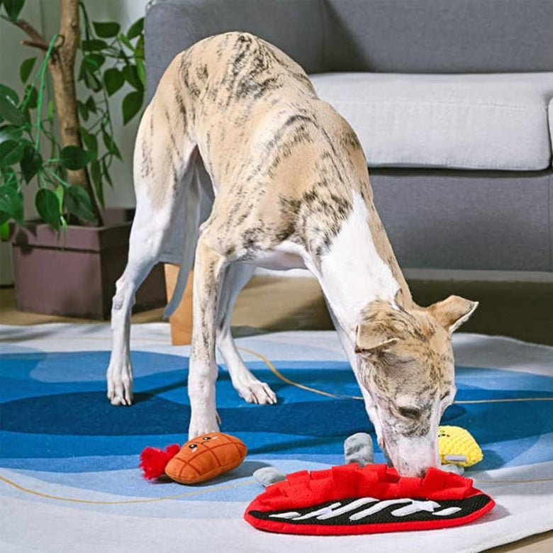 Hugsmart Products Inc dog toys Beach Daze BBQ Grill Interactive Plush Dog Toy - 3 Pc