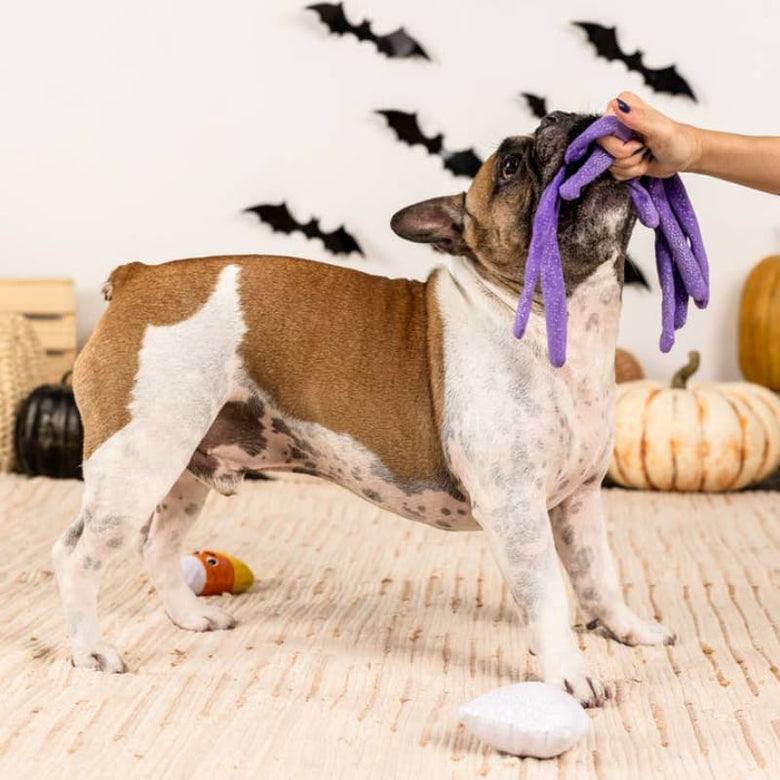 PetShop by Fringe Studio dog toys Halloween Frightly Friends Plush Squeak Dog Toy Set - 3 Pc