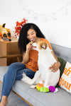 Pearhead, Inc. dog toys Halloween Trick Or Treat Candy Squeak Plush Dog Toy Set - 3 Pc