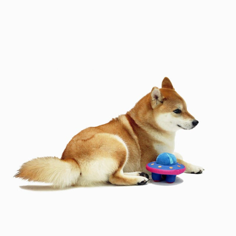 Hugsmart Products Inc dog toys Space Paws Blue Pink UFO Plush Dog Toy