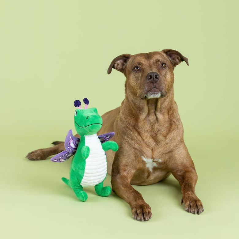Petshop by Fringe Studio dog toys Flutter Rex Purple Butterfly Wings Plush Squeak Dog Toy