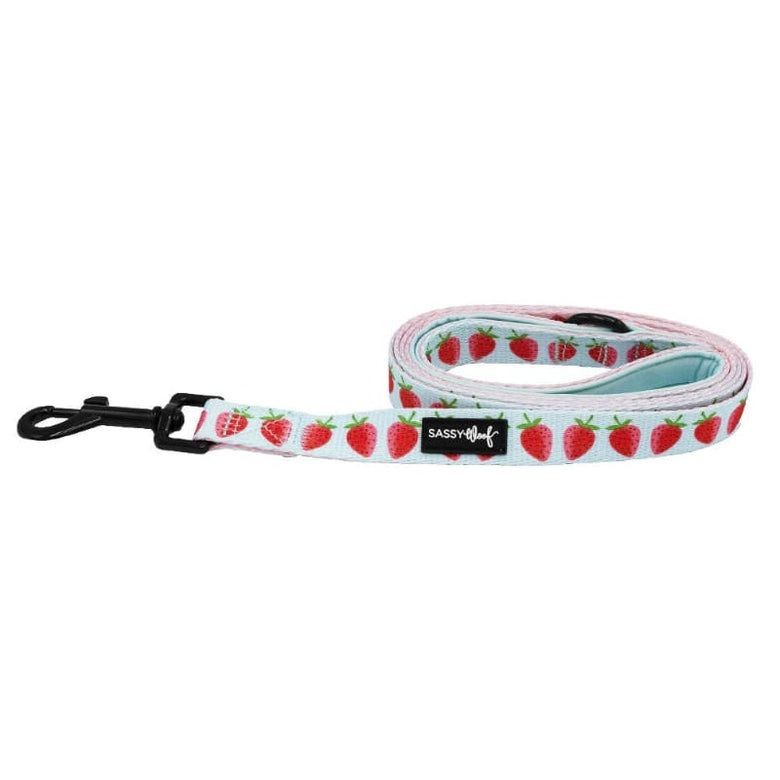 SASSY WOOF Leashes I Woof You Berry Much (Fruits) Light Blue & Pink Dog Leash