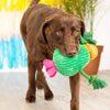 Petshop by Fringe Studio Dog Toys You Grow Chica! Spring Cactus Plush Squeak Dog Toy