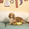 Hugsmart Products Inc dog toys Yappy Birthday Wine TPR Rubber Bottle Dog Toy