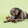 You Had Me At Hola Fiesta Sloth Plush Squeaky Dog Toy