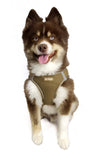 Barker's Bowtique Barker's Bowtique - Hip Doggie - EZ Step-In Harness Vest - Tan: XXS
