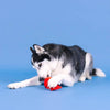 PetShop by Fringe Studio dog toys Reel Me In Red Fish Rubber & Plush Dog Toy