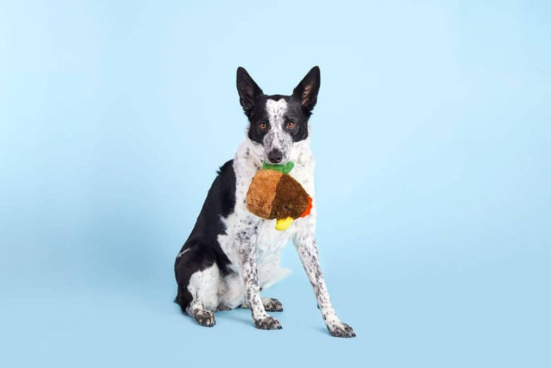BARK dog toys Super Chewer Fowl Play Rooster Interactive Plush Rubber Treat Dog Chew Toy