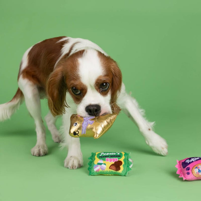 Petshop by Fringe Studio dog toys Easter Eggstra Sweets Spring Small Plush Squeak Dog Toy Set - 3 Pc