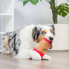 Huxley & Kent Huxley & Kent - Latte My Way Dog Toy (Double Sided): Large