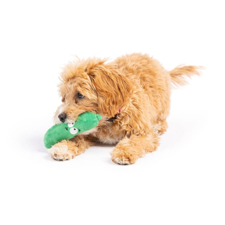 Huxley & Kent Dog Toys Tiny Tuff Green Dell Pickle Plush Squeak Dog Toy