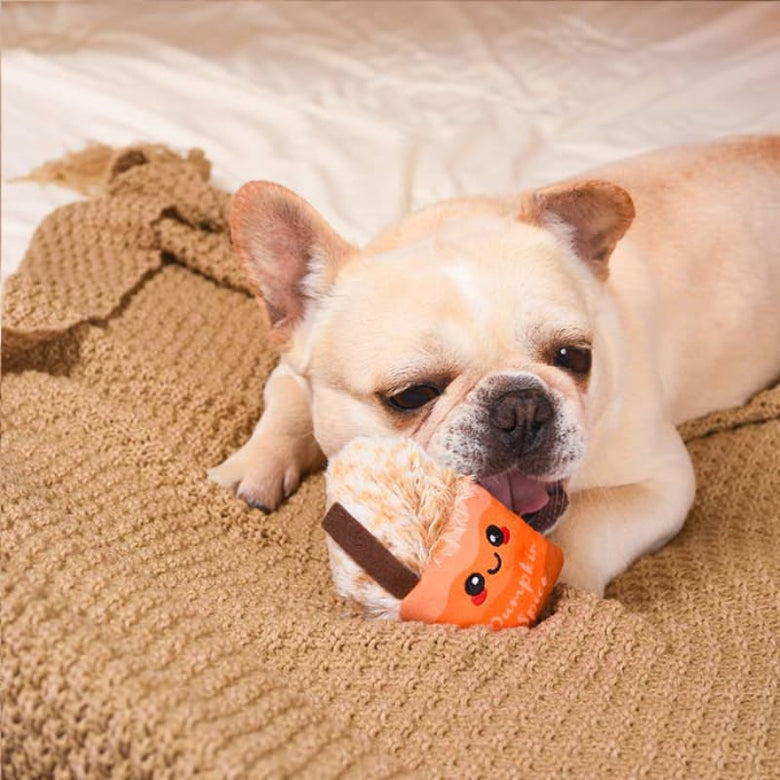 Hugsmart Products Inc dog toys Autumn Tailz Pumpkin Play Plush Squeak Dog Toy Set - 3 Pc