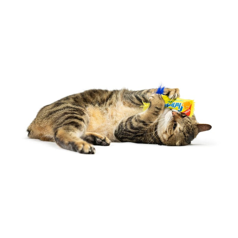 Huxley & Kent Cat Toys Flufferfinger Cat Toy