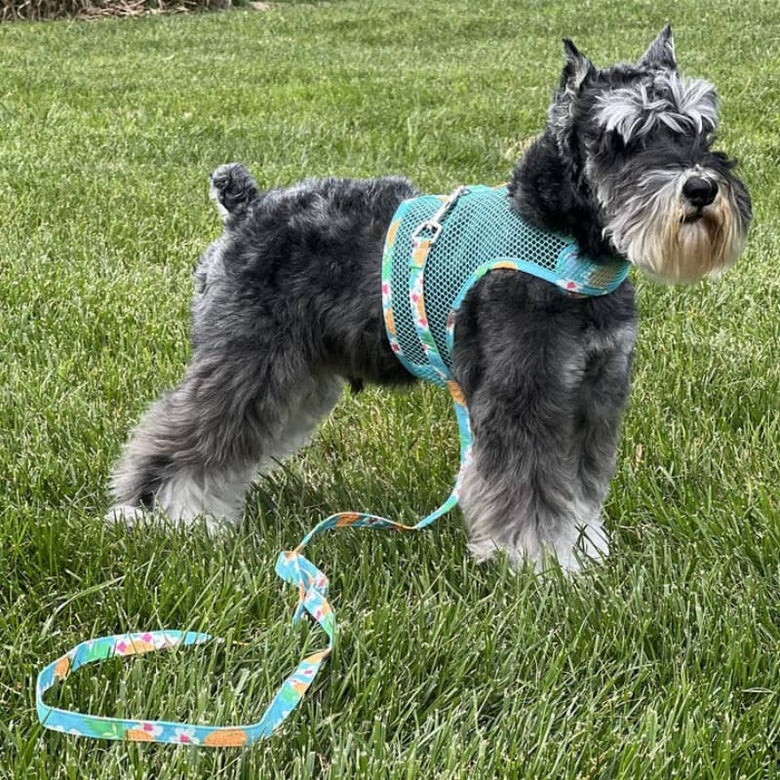 Doggie Design, Inc Harnesses XS Cool Mesh Dog Harness with Leash - Pineapple Luau