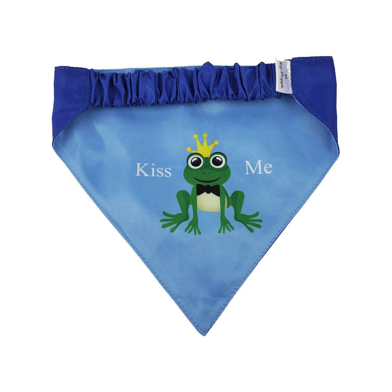 Barker's Bowtique Bandanas Prince Two-Sided Bandana