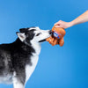 Catch You're Out Baseball Mitt Sports Plush Squeaky Dog Toy
