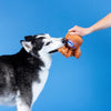 Petshop by Fringe Studio dog toys Catch You're Out Baseball Mitt Sports Plush Squeaky Dog Toy