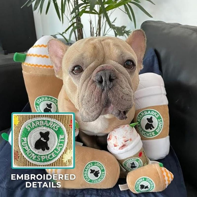 Haute Diggity Dog dog toys Starbarks Pupkin Spice Latte Plush Squeak Dog Toy - 2 Sizes