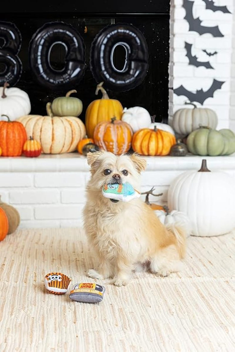 PetShop by Fringe Studio dog toys Halloween Fright Night Plush Squeak Dog Toy Set - 3 Pc