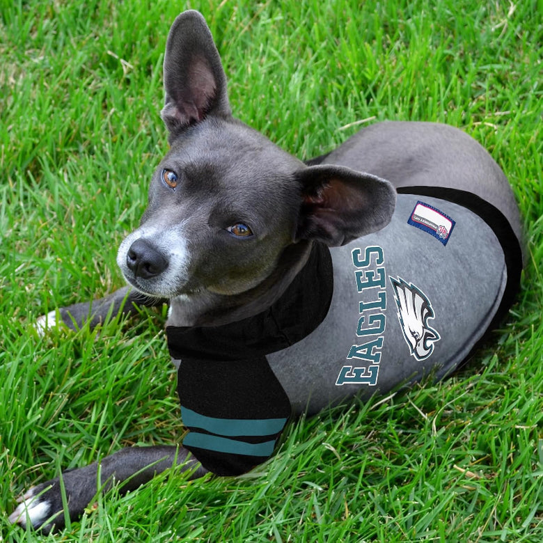 Philadelphia Eagles Hoody Dog Tee