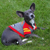 Kansas City Chiefs Hoody Dog Tee