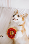 Americana Red White Blue Donutz Sprinkles Patriotic Squeaky Dog Toy