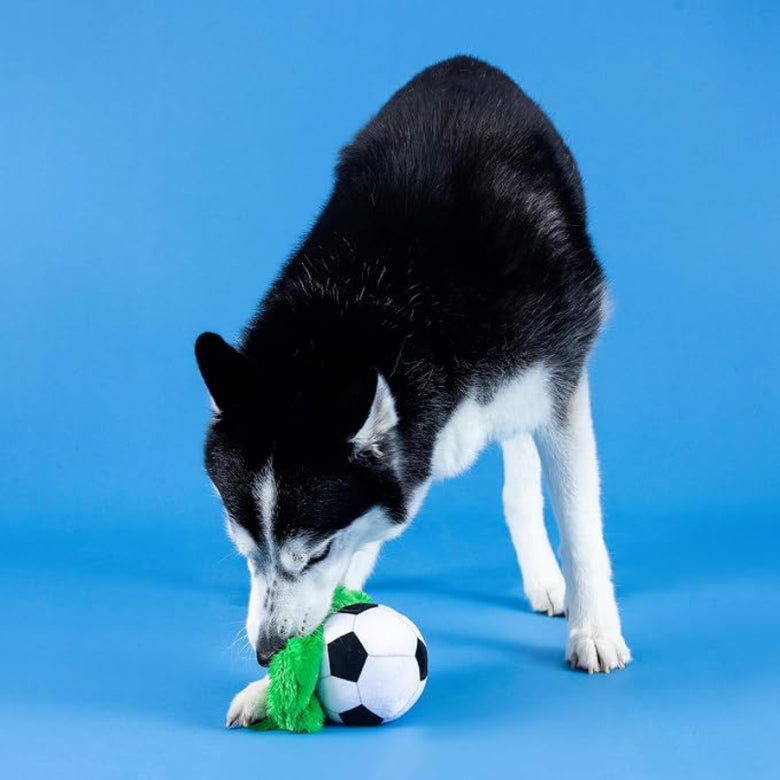Just Kick It Soccer Ball Sports Plush Squeaky Dog Toy