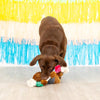 Tacos & Tequila Fiesta Sloth Plush Squeaky Rope Dog Toy