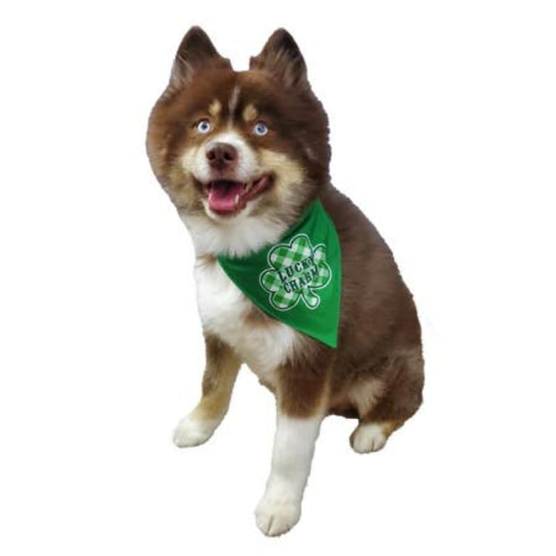 Barker's Bowtique Bandanas St. Patrick's Shamrock Reversible Dog Bandana - Only Size Sm Available