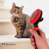 Warren London Cat Supplies Cat De-Tangling Pin Brush