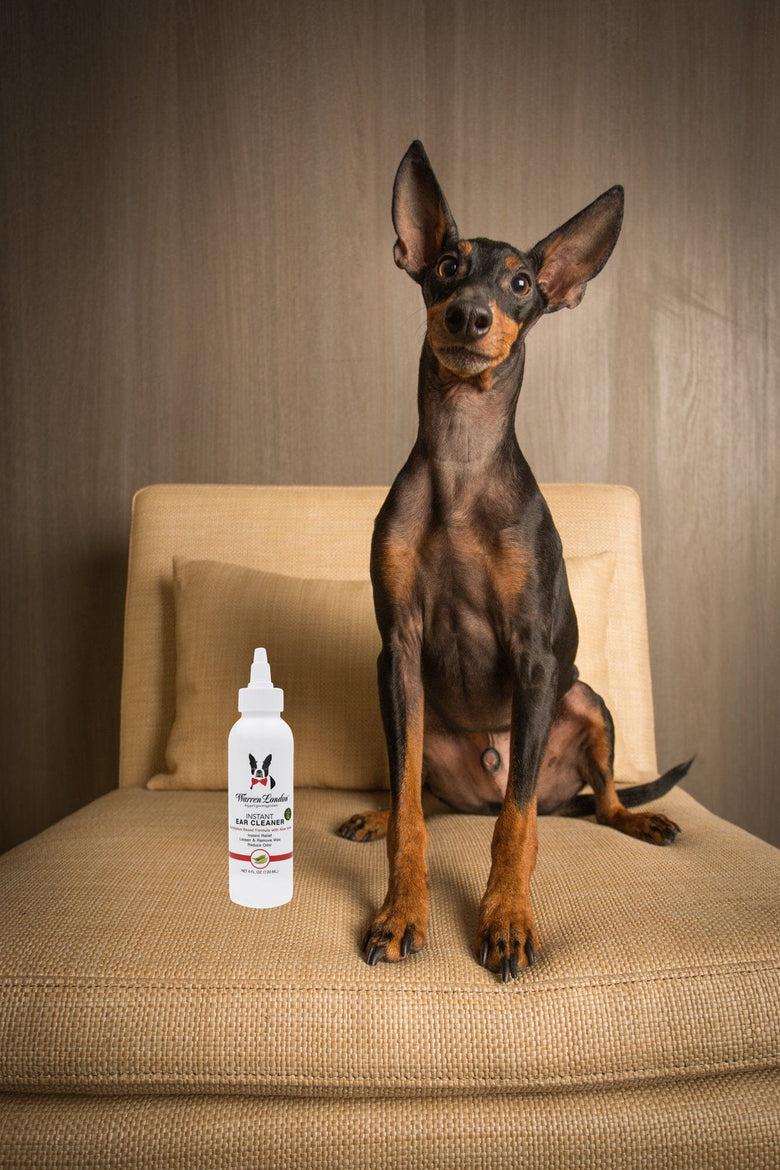 Warren London Spa Product Instant Ear Cleaner For Dogs 12 oz or 1 gallon - Professional Size - Removes Wax and Odor