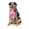 FuzzYard dog toys Tail Chaser Pink Perfume Plush Squeak Dog Toy