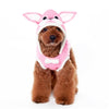 Dogo Pet dog apparel Cable Pink Bunny Hooded Dog Sweater - Only Available in Size XL and 2XL