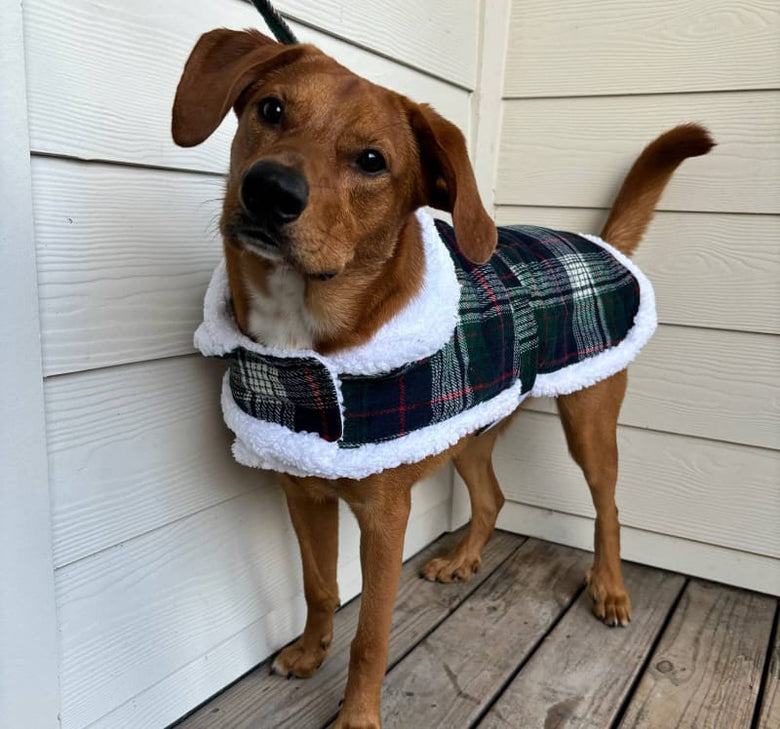 Doggie Design Jackets Sherpa Lined Dog Harness Coat Blue & Green Plaid with Matching Leash