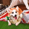 Hugsmart Products Inc dog toys Avocado Collection Toast and Egg Rope Plush Dog Toy
