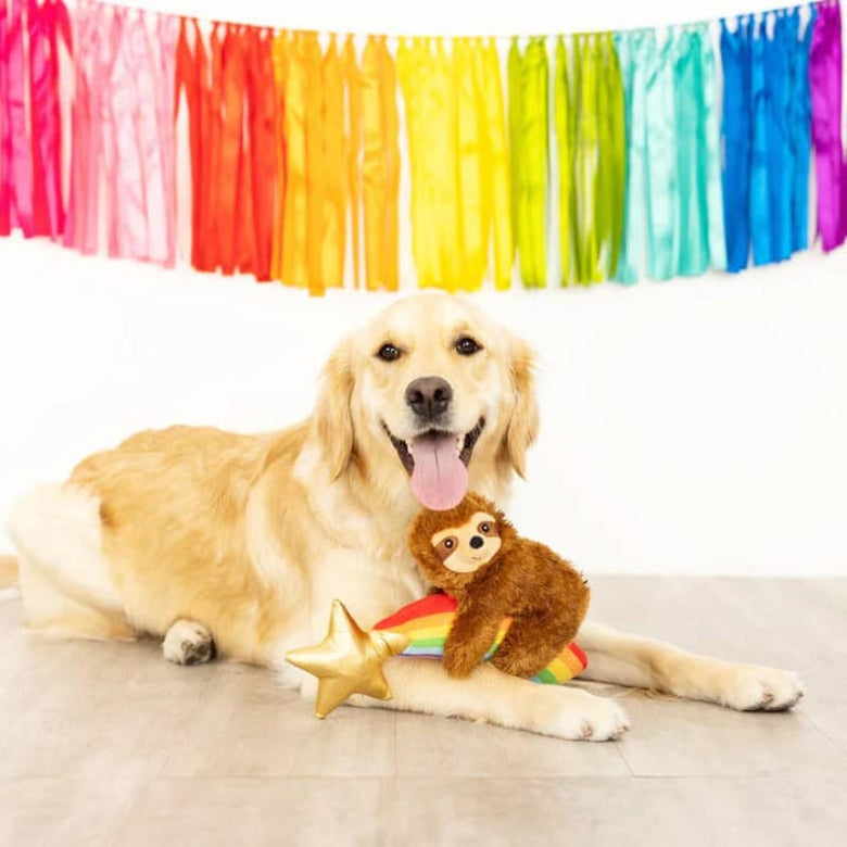 Pet Shop by Fringe Studio dog toys Rainbows High Star Sloth Plush Dog Toy
