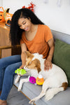 Pearhead, Inc. dog toys Halloween Trick Or Treat Candy Squeak Plush Dog Toy Set - 3 Pc