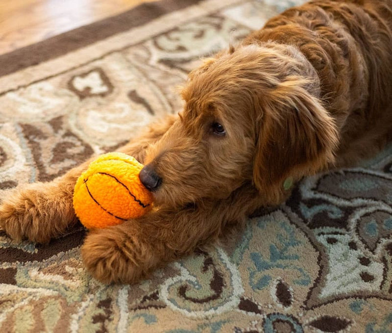 Thoozy dog toys Basketball Plush Squeak Dog Toy 4"