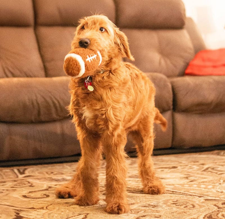 Thoozy dog toys Football Shaggy Plush Squeak Dog Toy - 6.5"