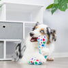 Huxley & Kent dog toys It's My Barkday Bone (Double Sided) For Dogs - 2 Sizes