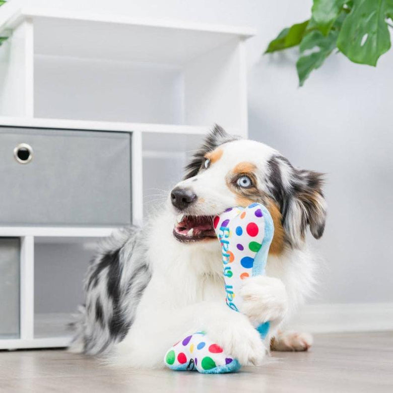 Huxley & Kent dog toys It's My Barkday Bone (Double Sided) For Dogs - 2 Sizes