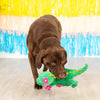 Pet Shop by Fringe Studio dog toys Thorny But Cute T Rex with Spring Flowers Plush Squeak Dog Toy