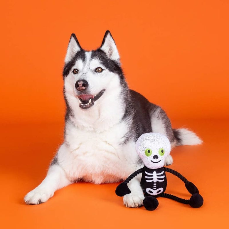 PetShop by Fringe Studio dog toys Halloween Got A Bone To Pick Skeleton Rope Tug Plush Squeak Dog Toy