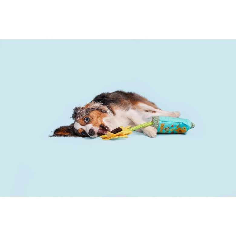 BARK dog toys Funflower Seeds Daisy Plush Rope Dog Toy
