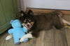 Herbie The Hippo Blue Plush Squeaky Dog Toy - 2 Sizes