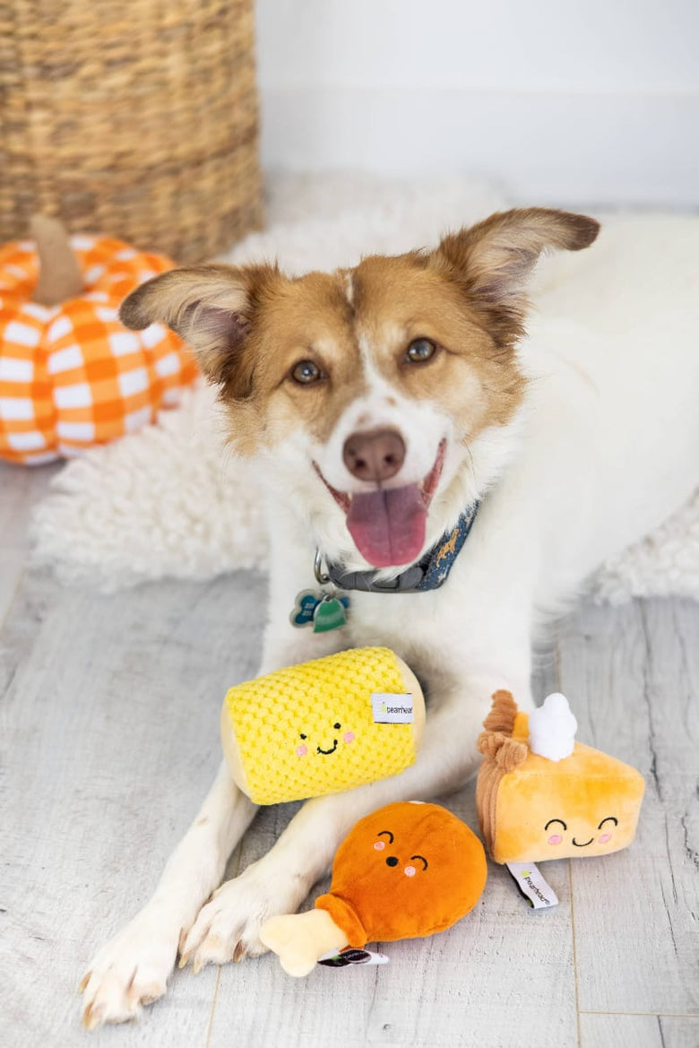 Pearhead, Inc. dog toys Thanksgiving Dinner Turkey Leg, Corn Cob, and Pie Plush Squeak Dog Toy Set - 3 Pc