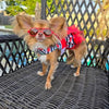 Doggie Design Dog Apparel Red Cherry Stripe Dog Harness Dress & Matching Leash