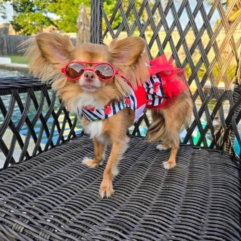 Doggie Design Dog Apparel Red Cherry Stripe Dog Harness Dress & Matching Leash
